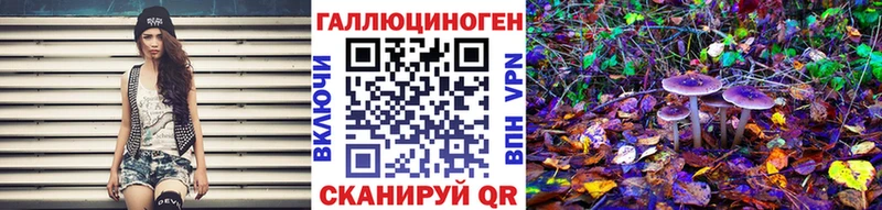 Купить  Коряжма  Псилоцибиновые грибы GOLDEN TEACHER 