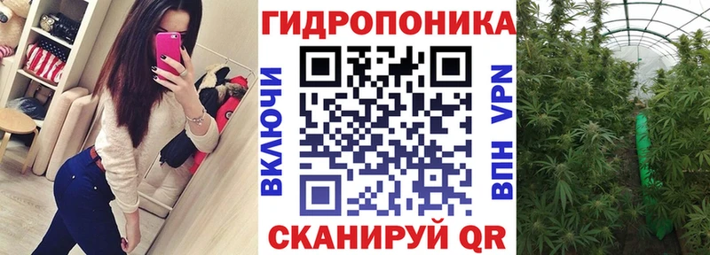 Каннабис планчик  Купить закладки  Коряжма 